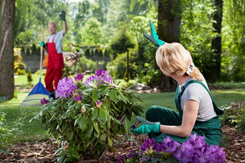 Operative starting hedge trimming in a Queens Park garden with green waste bins