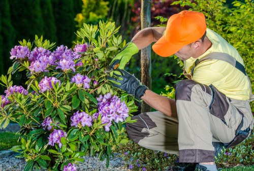 Insurance certificate and documentation for hedge trimming service