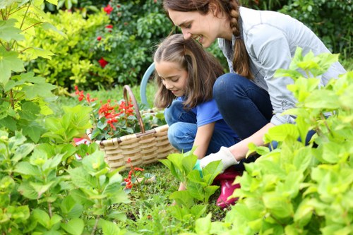 Homepage banner showing hedge trimming service in Queens Park with a person trimming a hedge