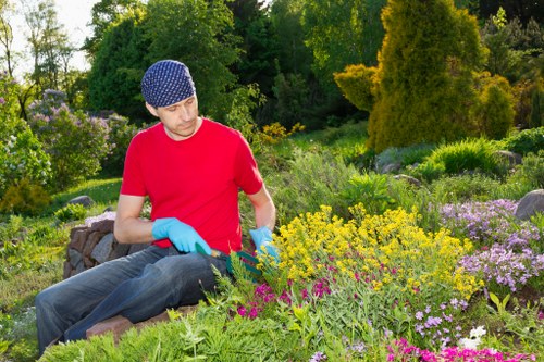 Queens Park garden with perfectly shaped hedges